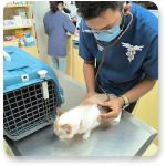 Dog at clinic window